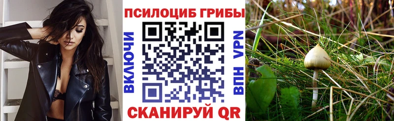 даркнет сайт Коряжма Галлюциногенные грибы мухоморы