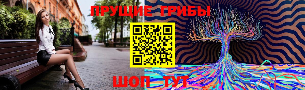 Галлюциногенные грибы прущие грибы  Вход с VPN  Галлюциногенные грибы прущие грибы  Коряжма 