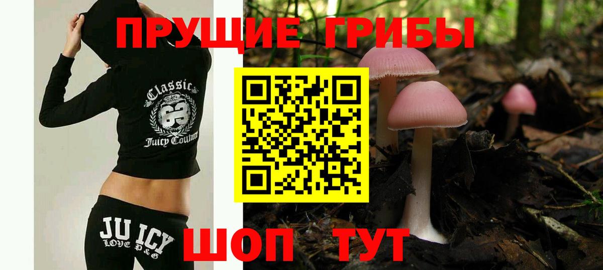 Галлюциногенные грибы Cubensis Коряжма