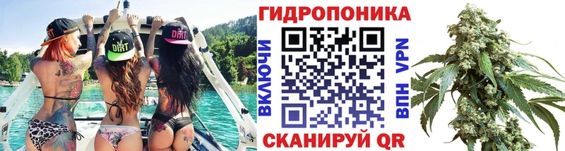 Бошки Шишки план  Коряжма 